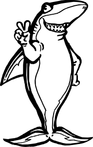 Hai-Outline